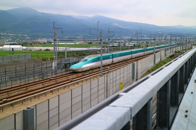 天候に恵まれた函館に向かう道中、道の駅「しかべ間歇泉公園」の浜のかあさん食堂でランチ。<br />鹿部は、たらこが有名で、人気の「プレミアムたらこ御膳」を頂いた。<br /><br />その後、大沼公園経由で駒ケ岳を眺めながら、北海道新幹線の発着駅である「新函館北斗駅」に立ち寄って、宿泊地である函館に移動