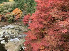 紅葉の奥津温泉（岡山県）