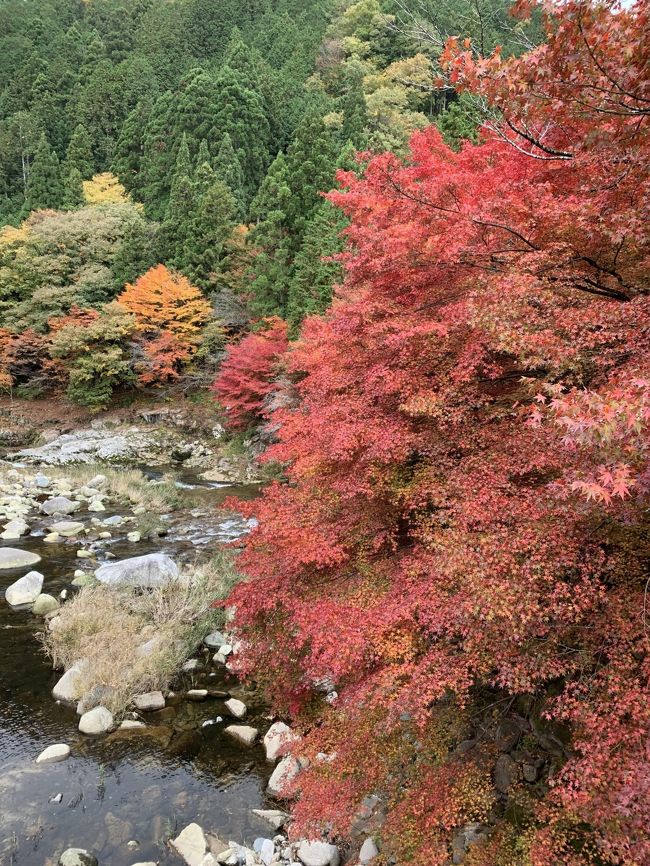 久しぶりに紅葉を見ようと奥津渓へ出向いた<br /><br />平日だったのと少し雨が降った後だったのでほとんど人がいない<br />日にちは正確には覚えていないんだけど、<br />毎年行きたいなと思った