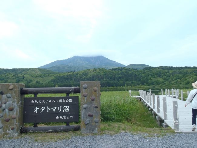 憧れの利尻島～礼文島、最北の自然を楽しみました！（２）利尻島観光編