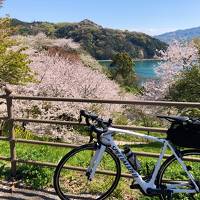 サンライズ瀬戸と香川のうどんを堪能しつつ、しまなみ海道で自転車の旅 3日目