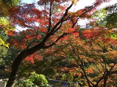 紅葉の徳明園と白衣大観音（群馬県高崎市）