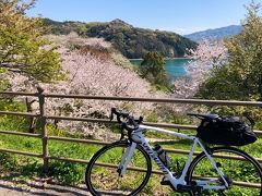 サンライズ瀬戸と香川のうどんを堪能しつつ、しまなみ海道で自転車の旅 3日目