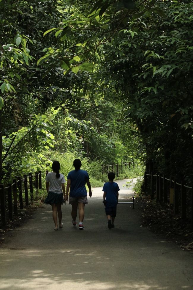 2019年に完成したばかりの新しい公園。特に見どころがなかった公園ですが、人混みから離れたい人には良い場所だと思います。<br /><br />歩いている間、ずっと懐かしい甘い香りが漂ってました。よく考えたら、それはパンダンリーフの香りだった。