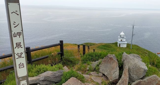 観光バス終了後、鴛泊港にある標高９０mほどの巨大な岩山「ペシ岬」に登りました。<br />翌日は礼文島に渡るフェリーの時間１２時１５分まで時間があるので、１０時チェックアウト、ホテルのバスで鴛泊フェリーターミナルに送ってもらい、スーツケースを預け、利尻神社と高山植物展示園に行きました。<br /><br />８月３日　羽田 ー 新千歳 ー 利尻島　利尻定期観光バス<br />８月４日　利尻島散策　ー　礼文島　桃岩展望台コースハイキング<br />８月５日　礼文島　－　稚内　－　羽田<br />