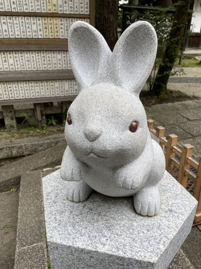 2日目は駒うさぎ？の岡崎神社へ。<br /><br />4連休、天気があまりよくなく、昼頃から雨が降る予報だったので、午前中のうちに駒うさぎ？がいる岡崎神社へ。道中にあったアフロ仏像のくろ谷金戒光明寺にも行ってみました。<br />そのあと、鴨川沿いを自転車で移動し、今宮神社→大徳寺をお参りしました。<br />