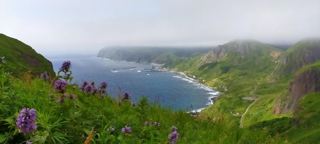 憧れの利尻島～礼文島、最北の自然を楽しみました！（４）桃岩展望台ハイキング