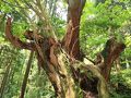 関の旅行記