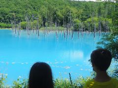 5・7歳児連れ、富良野美瑛ドライブ旅行