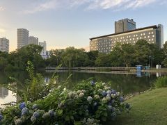 2020 不要不急 夏の思い出 *1～中島公園ジョギング編