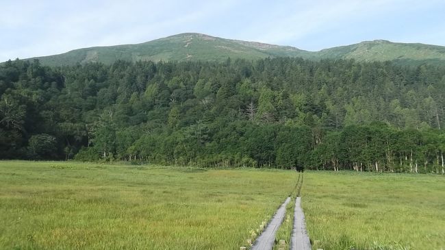 いつもの旧友山岳会ですが、例のウイルス感染懸念から回避され弟と二人旅に。３連休なら混み合う尾瀬でしょうが、家族連れや若者グループなどそこそこの賑わいでした。<br /><br />初日・２日目は&#9729;、燧ヶ岳に向かいましたが、小雨が降りだし五合目で撤退(&gt;&lt;)　ヒツジグサやサワギキョウが咲く尾瀬ヶ原散策(＋小屋呑み、笑)<br /><br />最終日はようやく晴れ、至仏山に登りました。４回目の至仏山ですが、こんな絶景は初めて(^o^)　眼下に尾瀬ヶ原や向こうに燧ヶ岳。山頂からは、平ヶ岳や越後駒ヶ岳、巻機山など。花も結構、タテヤマリンドウやタカネナデシコなど。<br />今日もイマイチな天気だったら……という心配は杞憂でした。弟は友人が自粛などでうずうずしてたよう(笑)　久々に歩けて良かった。