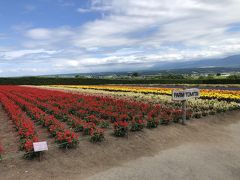 北海道(旭川、富良野)への旅 その2