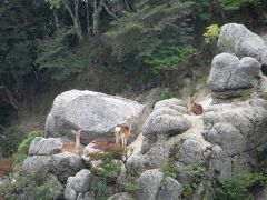 第2回　山登り鎌ヶ岳、雲母峰（愛知県）2020年08月12日