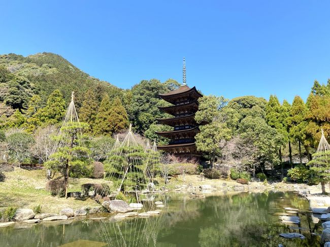 山口宇部空港から山口市内、そして秋吉台を目指して