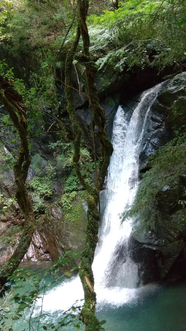 この夏は地元で3密を避けて遊びましょ。<br />そうだ、山の中へ涼しげな滝を見にいこう～。<br /><br />浜松市内の行ったことのない滝へ。<br />１ヶ所目は、「大下滝」<br />２ヶ所目は「龍王権現の滝」<br /><br />7月の長雨の影響なのか、水量もたっぷりあって迫力のある滝を見ることができました。