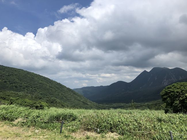 夏真っ盛りの8月、子供たちの短い夏休みの思い出に、涼を求めて阿蘇、九重の高原へ行って来ました。<br /><br />このご時世、人混みを避けての近場のドライブ家族旅行です。<br /><br />では九重編からスタート!