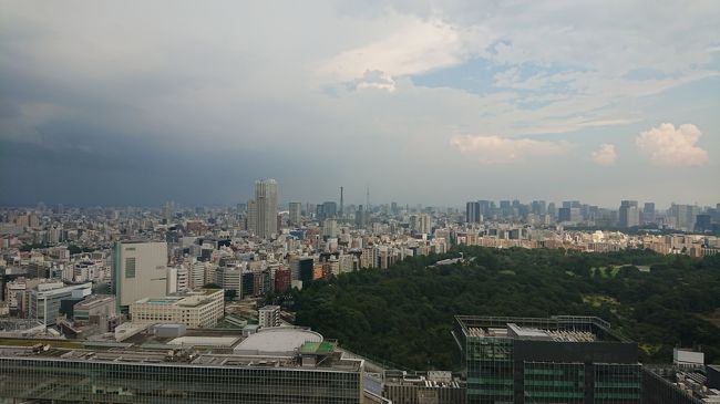 新型コロナウィルス感染の拡大で自宅で自粛してましたが、誕生日にどうしてもいつもと違うことがしたくて、近場のホテルに籠もってみました。<br />(東京在住、しかも自転車でも行ける距離のホテル)<br />なるべく人と接触しないようにしようと思い、眺望のよさそうなホテルに滞在。<br />景色を眺めながら、一時現実逃避。夢の時間を過ごしました。