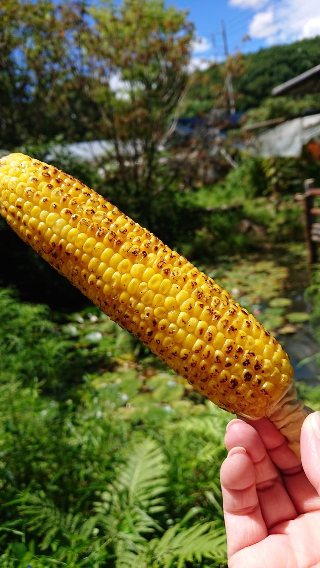 8月11日火曜日<br />県内から日帰りで黒姫高原へ焼きもろこし食べに行って来ました^^→家から黒姫ってこんなに近かったんだ！と驚くw<br /><br />天候にも恵まれ(全国で軒並み最高気温を樹立w)<br />黒姫駅からレンタルサイクルでもろこし街道まっしぐら！<br /><br />今年は雨で不作と言う事でしたが、甘くてジューシーで本当に美味しかったー&#10071;<br /><br />来年もまた行こう&#128515;<br />