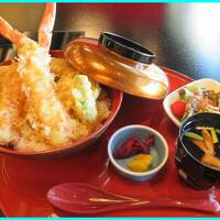 県民限定プランで鎌倉パークホテルへ（５）ランチは「和　みなもと」でズワイ蟹天丼