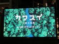 川崎の旅行記