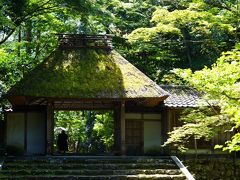 20200814-3 京都 緑がいっぱいの法然院