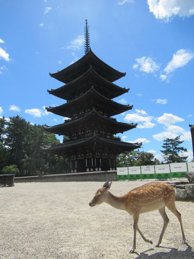 近場への旅。<br /><br />今回は奈良へ。京都だけではなく、奈良も世界遺産を制覇してみようと思った次第です。<br /><br />１０数年前には訪れていますが、あらためてまわってみようかと。<br /><br />そんななか今回は奈良公園を中心に、春日大社、興福寺、東大寺へ。<br /><br />そしてもう一つの目的は憧れのクラシックホテル奈良ホテルに泊まってみた。<br /><br />真夏の奈良は暑かった。