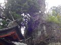 湯田中渋温泉郷・志賀高原の旅行記