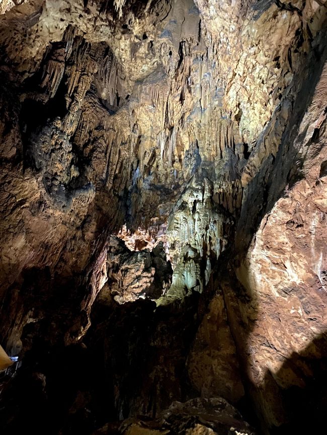 秋吉台・秋芳洞でリフレッシュし、弁天池公園で心を洗われる