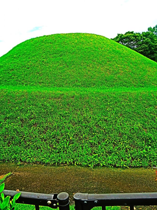 高松塚古墳（たかまつづかこふん）は、奈良県高市郡明日香村（国営飛鳥歴史公園内）に存在する古墳。藤原京期（694年～710年）に築造された終末期古墳で、直径23m（下段）及び18m（上段）、高さ5mの二段式の円墳である。1972年に極彩色の壁画が発見されたことで一躍注目されるようになった。 <br /><br />墳丘は2009年に築造当初の形状に仮整備され、一般に公開されている。一方、壁画が描かれた石室は、2007年に歴史公園内の修理施設に移され[2]、2020年3月に保存修理が完了した。今後は古墳外に新設される施設で管理される予定である。 <br />発掘は明日香村が事業主体となり、橿原考古学研究所が実際の発掘を担当した。古墳は1973年4月23日、特別史跡に、また極彩色壁画は、1974年4月17日に国宝に指定されている。 <br /><br />石室は凝灰岩の切石を組み立てたもので、南側に墓道があり、南北方向に長い平面をもっている。石室の寸法は南北の長さが約265cm、東西の幅が約103cm、高さが約113cm（いずれも内法寸法）であり、大人2人がかがんでやっと入れる程度の狭小な空間である。<br />壁画は石室の東壁・西壁・北壁（奥壁）・天井の4面に存在し、切石の上に厚さ数ミリの漆喰を塗った上に描かれている。壁画の題材は人物像、日月、四方四神および星辰（星座）である。東壁には手前から男子群像、四神のうちの青龍とその上の日（太陽）、女子群像が描かれ、西壁にはこれと対称的に、手前から男子群像、四神のうちの白虎とその上の月、女子群像が描かれている。男子・女子の群像はいずれも4人一組で、計16人の人物が描かれている。中でも西壁の女子群像はカラー写真が紹介され、「飛鳥美人」のニックネームで親しまれている<br />（フリー百科事典『ウィキペディア（Wikipedia）』より引用）<br /><br />高松塚古墳　については・・<br />https://www.asuka-park.go.jp/area/takamatsuzuka/tumulus/<br /><br />明日香村（あすかむら）は、奈良県の中央部付近に位置する村である。中央集権律令国家の誕生の地であることから飛鳥時代の宮殿や史跡が多く発掘されていることで知られ、「日本人の心の故郷」とも紹介される。 <br />日本で唯一全域が古都保存法対象地域の自治体である。また、村全体の世界遺産登録に向けた計画が具体化している。 <br />明日香村特別措置法によって村内全域が歴史的風土保存の対象となっている。遺跡・景観保全のためやむを得ないが、この厳しい開発規制のため人口は減少している。<br />（フリー百科事典『ウィキペディア（Wikipedia）』より引用）<br /><br />明日香村　については・・<br />https://asukamura.jp/<br />https://asukamura.com/<br /><br />明日香と飛鳥・・アスカの地名としては、飛鳥の字が一般的に定着しており、昭和31年高市村、阪合村、飛鳥村の3村が合併して生うまれた村名である<br />地名としては、明日香及び飛鳥は最も頻繁に用いられている。飛鳥は、アスカという場合とトブトリとして明日香の枕詞になっている場合とがある。<br />https://asukamura.jp/kids/yomoyama_yurai.html　より引用<br /><br />７月２７日（月）<br />大和八木　＝＝橿原神宮＝＝　飛鳥＝＝今井町　　<br />	（明日香村サイクリング　飛鳥駅前）<br />カンデオホテル奈良橿原　（シングル）　　0744-21-8700　　連泊<br />