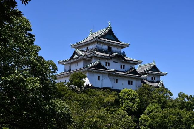 徳川御三家の一つ、紀州家は東照神君の十男である頼宣公を鼻祖とします。その天守は堂々たる構えですが、太平洋戦争の空襲で焼け落ちました。戦後の再建で、内部の階段などは広く取ってあります。天守からは四方を見渡すことが出来ます。