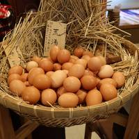 GOTOトラベルで湯村温泉・1泊2日