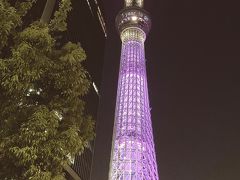 東京スカイツリー観光 東京の旅行記 ブログ By ユタカさん フォートラベル