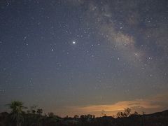 ペルセウス流星群を見にジョシュアツリー国立公園のコットンウッド地区へ