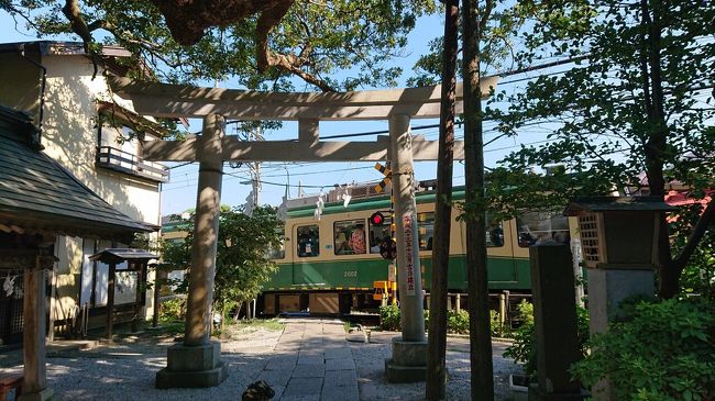 鎌倉の海浜公園、長谷を観光。カニ尽くしのランチに、海と境内の景色が最高でした。<br /><br />特に、由比ヶ浜の海岸、御霊神社、長谷寺の景色はどれも素晴らしく、写真の枚数が絞り切れず多くなってしまいましたので、長し読みして景色を楽しんで頂ければ幸いです。<br /><br />スケジュールは次のとおりです。<br />12:45 鎌倉駅 発<br />12:50 長谷駅 着<br />13:00 海岸沿いの道路(国道134号線)、鎌倉海浜公園 坂ノ下地区<br />13:10 鎌倉パークホテル<br />13:30～15:00 昼食<br /><br />15:17～15:30 御霊神社<br />15:40～16:40 長谷寺<br />17:05～ 御成通り、小町通り<br />17:50～18:35 小町通りでカフェ休憩<br />18:00 鎌倉駅 発<br />