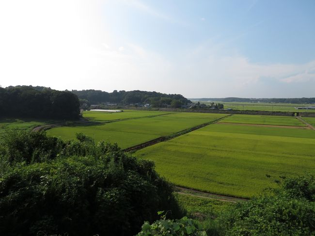 8月下旬、所要の為関東へ。<br />所用は早朝からなので前乗りして、前日に安く設定されている茨城便で関東入りし、茨城空港から石岡、土浦、取手、我孫子、酒々井と寄り道しながら都内へ。<br />2日目は所用が終わって、これまた寄り道して小机城を訪れて空港へ向かい帰路につきました。<br /><br />その2は1日目の後半、本佐倉城編。