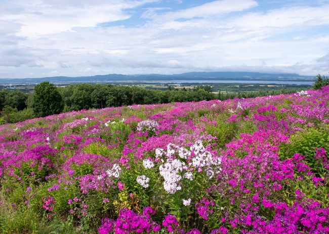 (1)屈斜路・摩周編 https://4travel.jp/travelogue/11639921<br />1日目 女満別～美幌峠～川湯温泉～摩周湖～硫黄山<br />2日目 川湯温泉～開陽台<br /><br />(2)知床半島編 https://4travel.jp/travelogue/11640275<br />2日目 羅臼～知床五湖～ウトロ<br />3日目 ウトロ～羅臼～ウトロ<br /><br />(3)斜里・網走・北見編<br />3日目 小清水～斜里<br />4日目 斜里～清里～網走<br />5日目 網走～常呂～サロマ湖<br />6日目 サロマ湖～湧別～北見～女満別