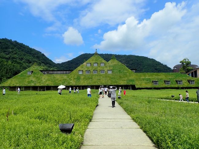 お盆に何も予定を立てられなかったので、前日の夜に急遽行くことに決めた滋賀の旅。<br />早めに家を出発したので、ゆっくり楽しむことができました！