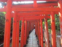 ぶらり 谷根千さんぽ　根津神社､寛永寺へ