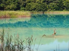 ブララブコー「３密を避けて森の中へ！夏の五色沼トレッキング」