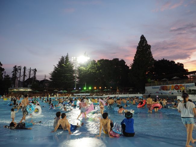 としまえんプール年8月 今月で閉園のプール 練馬 東京 の旅行記 ブログ By 雪豹の旅 さん フォートラベル