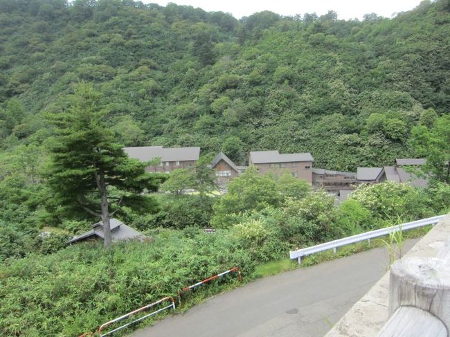 秋田県の八幡平の近くにある玉川温泉に行ってきました。玉川温泉は日本で一番強酸性の温泉といわれている温泉みたいです。秋田市や盛岡からでも２時間以上かかる秘境の湯治場でした。