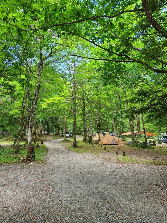 夏休みは県内旅行&amp;蜜をさけつつ、、まずはお初の平湯オーキャン。雨女にしてはお天気に恵まれ、とっても癒されたキャンプでしたー(≧▽≦)またまたオーキャンの順位が変わりそうー(≧▽≦)