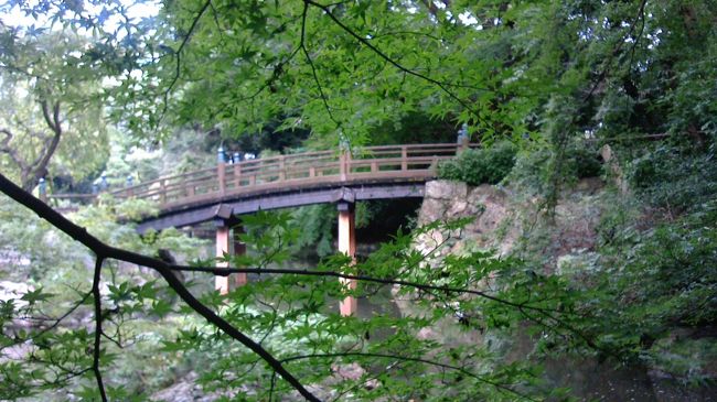 浜松城公園は、野面積みの石垣や天守内の博物館など、見どころがたくさんあります。その中の1つが、今回紹介する日本式庭園です。ゆっくりと周りながら、自分の好きな景色をじっくりと楽しむことができる庭園です。今回は、浜松城庭園の色々な景色を取り上げます。