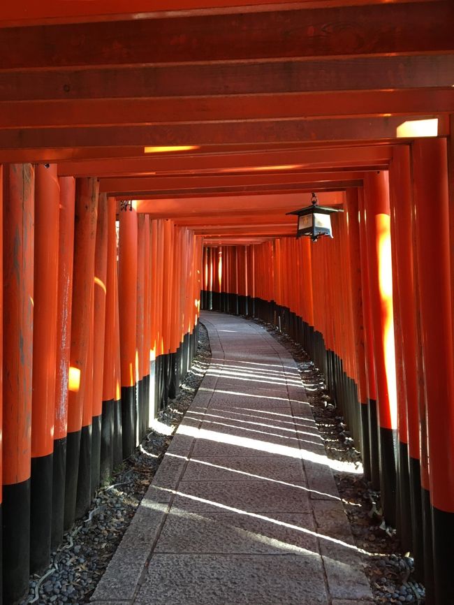 JRの「そうだ！京都に行こう！」のCMでも使われた、赤い鳥居が続く道、伏見稲荷に行って見た！