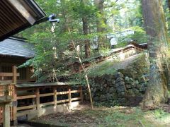 赤城神社と南面千本桜