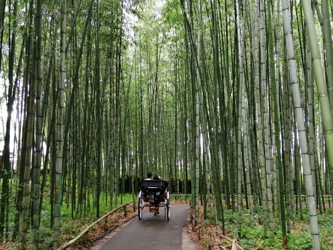 夏の京都 その2は嵐山 嵯峨野観光ととことんツイていない娘 京都の旅行記 ブログ By さんじゃさん フォートラベル 夏の京都 その2は嵐山 嵯峨野観光ととことんツイていない娘 京都の旅行記 ブログ By さんじゃさん フォートラベル
