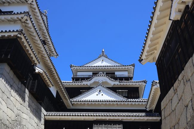 2020年8月16日(日)、7時30分JALで羽田から松山へ。飛行機から見える晴れ渡った景色は今どこを飛んでいるのか手に取るように分かり、いつもであれば寝ていますが、子供の様に写真をパシャリ・パシャリと撮りました。<br /><br />到着後は4トラのQ&Aでベテランのトラベラーの方々にアドバイスを戴いた「松山うどん」をハシゴ、その後、松山城の昇り降りで足がカクンカクンとなりながらも、昼過ぎに今回待望の「宇和島鯛めし」を食べに行きました。