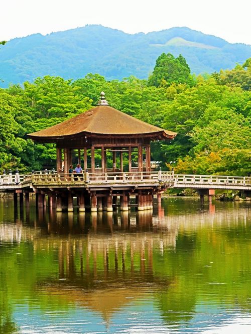 奈良県31 奈良市e 奈良市写真美術館 入江泰吉〔奈良古色大和路