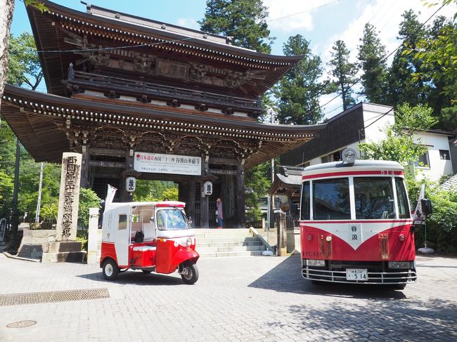 谷汲口駅からコミュニティバスに乗車して谷汲山へやってきました。ハイキングがてら名刹の谷汲山華厳寺をまわってみます。このお盆休み、ひたすら家に籠もってクーラー漬けだったからね、登山とまでは言わずともちょっとしたハイキング気分です。<br /><br />525冊目　2020/09/15投稿