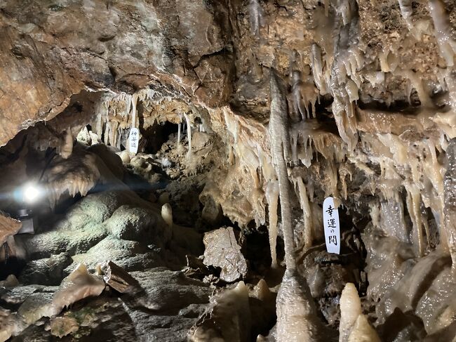 夏休み9連休も、コロナの影響で極力宿泊しない方針。だが、地元北海道はインバウンドがなくなり大ピンチのはず。そして幼稚園児の子供はいつも通りの夏休み。<br />どっか行かなきゃ!<br /><br />じゃあ、<br /><br />ゴー!